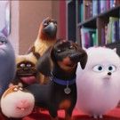 VIDEO: First Look - Kevin Hart & More Lend Their Voices to THE SECRET LIFE OF PETS