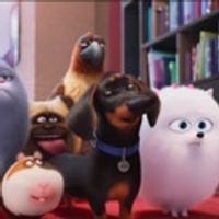VIDEO: First Look - Kevin Hart & More Lend Their Voices to THE SECRET LIFE OF PETS Video