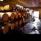 Garden State Wine Growers Association to Hold “Barrel Trail Weekend” July 16 and 17