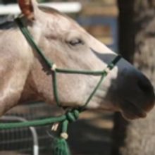 STAGE TUBE: THESE LONESOME ROAD Introduces Petra Van De Kay!
