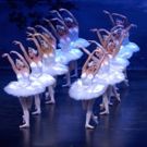 BWW Review: Maine State Ballet Mounts Impressive SWAN LAKE