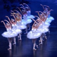 BWW Review: Maine State Ballet Mounts Impressive SWAN LAKE