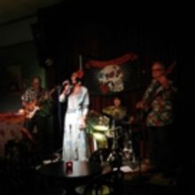 BWW Review: CHICA CHICA ELECTRICA'S IN THE DUST CD Review