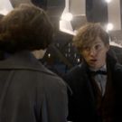 VIDEO: Final Trailer for 'FANTASTIC BEASTS' + Free Fan Event Announcement!
