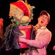 BWW Review: LITTLE SHOP OF HORRORS at Platte Valley Players