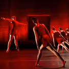2016 Bessies to Honor Choreographer Brenda Bufalino with Lifetime Achievement Award