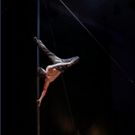 Norfolk & Norwich Festival Announces 2016 Events