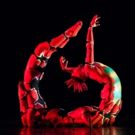 MOMIX: OPUS CACTUS Will Slither Into Mayo Performing Arts Center This March