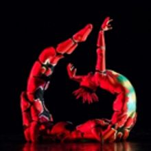 MOMIX: OPUS CACTUS Will Slither Into Mayo Performing Arts Center This March