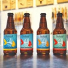 Beachwood Brewing to Release Invasive Species 4 Packs