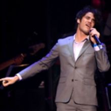 Photo Flash: Darren Criss, Megan Hilty and More at 'VOICES FOR THE VOICELESS' Foster…