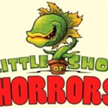 LITTLE SHOP OF HORRORS to Bring Twisted Humor to City Theatre