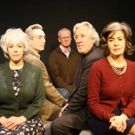 THROUGH THE DARKNESS Offers Powerful Holocaust Testimonials at The Workshop Theater