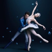 BWW Review: The Australian Ballet Brings Stephen Baynes' SWAN LAKE Back To The Sydney
