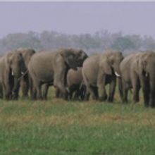 NOVA: WILD WAYS Premieres on PBS Today
