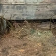 Premiere Stages at Kean University Now Accepting Submissions for 12th Annual Play Fes