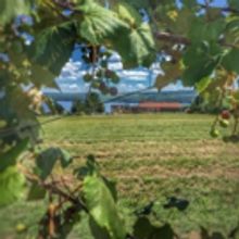 Finger Lakes Winery Invests in New Winemaking Equipment