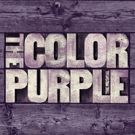 Full Cast Announced for Broadway-Bound THE COLOR PURPLE; Previews Begin 11/10