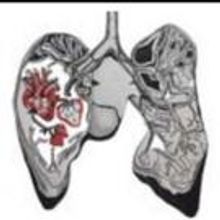 BABY'S BREATH Plays TNC's Dream Up Festival, Now thru 9/5