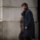 VIDEO: Alumni Attend A CELEBRATION OF HARRY POTTER 2016; Clips from 'FANTASTIC BEASTS'