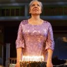 Photo Flash: First Look at Phylicia Rashad, Robert Joy & More in HEAD OF PASSES at…