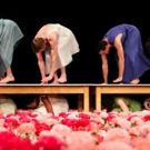 2016 Adelaide Festival of Arts Launches