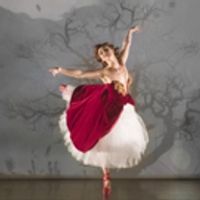 BWW Review: THE RED SHOES, Birmingham Hippodrome Photo