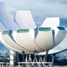 Marina Bay Sands' ArtScience Museum Opens New Collider Exhibit Today