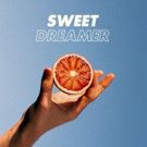 Will Joseph Cook Shares 'Plastic' + 'Sweet Dreamer' LP Out Today