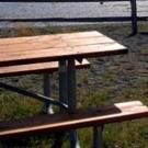 BWW Cooks: The Store-Bought Picnic Conquers the Grill