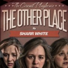 BWW Review: Circuit's THE OTHER PLACE Is 'Down the Rabbit Hole'