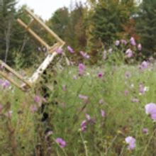 Abrons Arts Center to Premiere Aynsley Vandenbroucke's AND This Spring