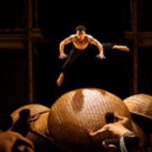 Perth International Arts Festival Launches 2017 Program