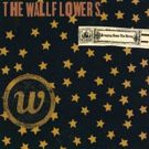 UMe Celebrates 20th Anniversary of the Wallflowers' with First-Ever Two-LP Vinyl…