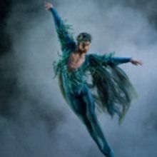 BWW Review: ASHTON DOUBLE BILL, Birmingham Royal Ballet