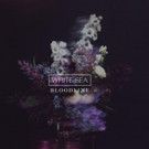 White Sea Shares New Single 'Bloodline'