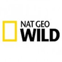 Nat Geo WILD to Premiere New Digital Series UNTAMED WITH FILIIPE DEANDRADE, March…