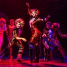 Water Main Break Causes CATS to Cancel Tonight's Performance