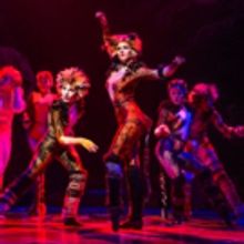 Water Main Break Causes CATS to Cancel Tonight's Performance