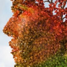 Palm Beach Dramaworks Presents ARCADIA by Tom Stoppard