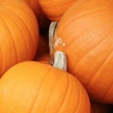 'Pumpkinfest in Disguise' to Take Over Zeeland This October