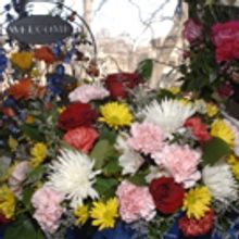 High School Horticulture Expo to Return to MCCC Next Weekend