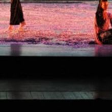 Shen Wei Dance Art Comes to Music Hall This Weekend