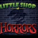 Slow Burn Theatre Company Presents LITTLE SHOP OF HORRORS, Now thru 6/28