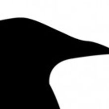 The 2017 FRIGID Festival Presents An EXIT Theatre Production DENIAL IS A WONDERFUL TH