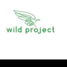 What's On at The Wild Project this Summer