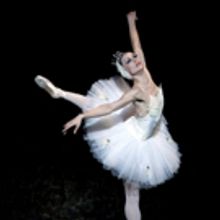 Festival Ballet Providence to Stage SWAN LAKE This Spring