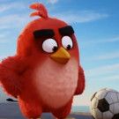 VIDEO: All-New Trailer for Animated Comedy THE ANGRY BIRDS MOVIE