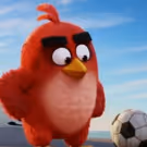 VIDEO: All-New Trailer for Animated Comedy THE ANGRY BIRDS MOVIE