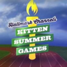 Let the Games Begin! Hallmark Channel to Present KITTEN SUMMER GAMES, Today